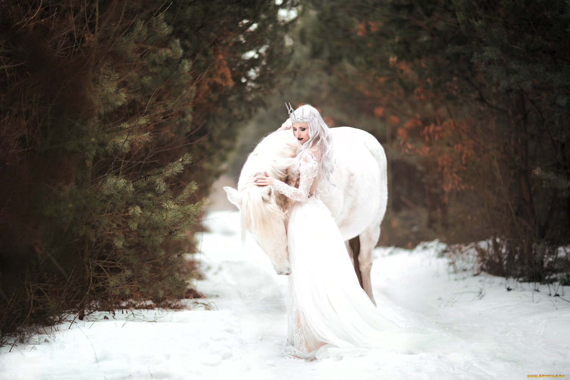 �������, - ���������,  �������������, ���������, ������, ������, �������, ���, ������, ����